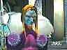dris076.jpg
